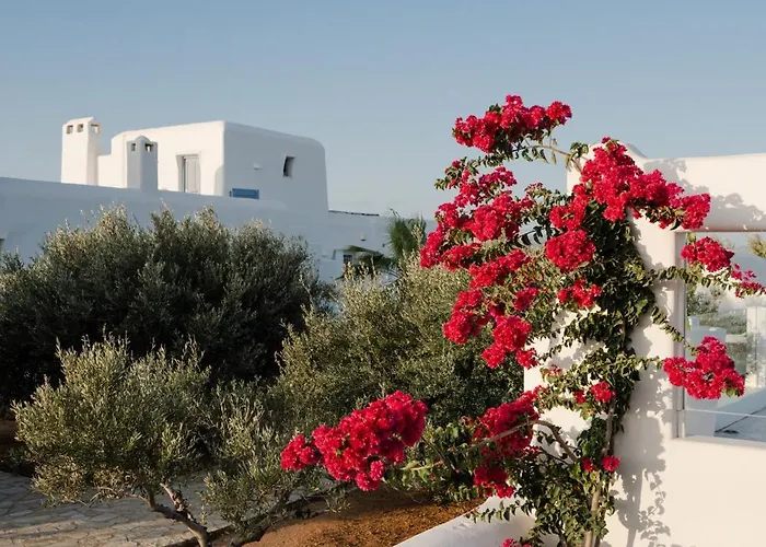 Cyclades - Semi Based With Indoor Garden - Part Of White Dunes Luxury Boutique Santa Maria (Paros)