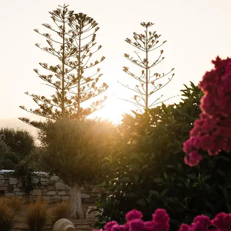 Cyclades - Semi Based With Indoor Garden - Part Of White Dunes Luxury Boutique Bed & Breakfast