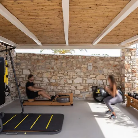 Cyclades - Semi Based With Indoor Garden - Part Of White Dunes Luxury Boutique Bed & Breakfast Santa Maria (Paros)