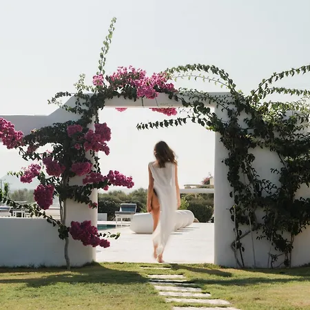 Cyclades - Semi Based With Indoor Garden - Part Of White Dunes Luxury Boutique * Santa Maria (Paros)