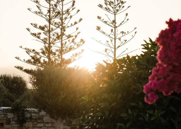 Cyclades - Semi Based With Indoor Garden - Part Of White Dunes Luxury Boutique Frühstückspension