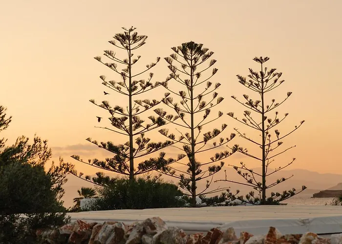 Cyclades - Semi Based With Indoor Garden - Part Of White Dunes Luxury Boutique Frühstückspension 4*